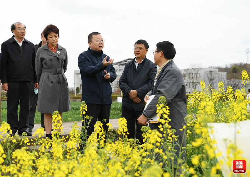 2021年2月26日，元方調研科技創新工作7  張莉 攝.jpg