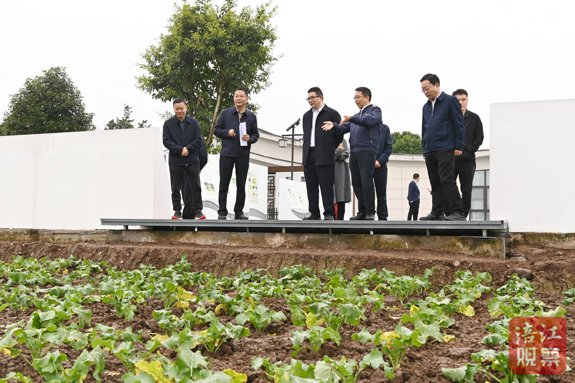 2024年11月10日，李云赴安州調(diào)研學(xué)習(xí)運(yùn)用“千萬(wàn)工程”經(jīng)驗(yàn)4  張莉 攝.jpg