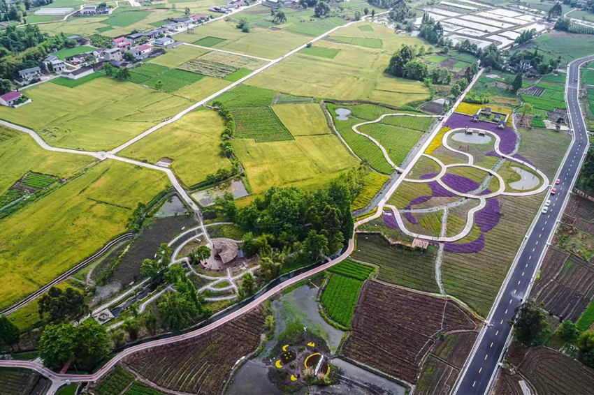 彭什川芎現(xiàn)代農(nóng)業(yè)園區(qū)航拍。敖平鎮(zhèn)供圖